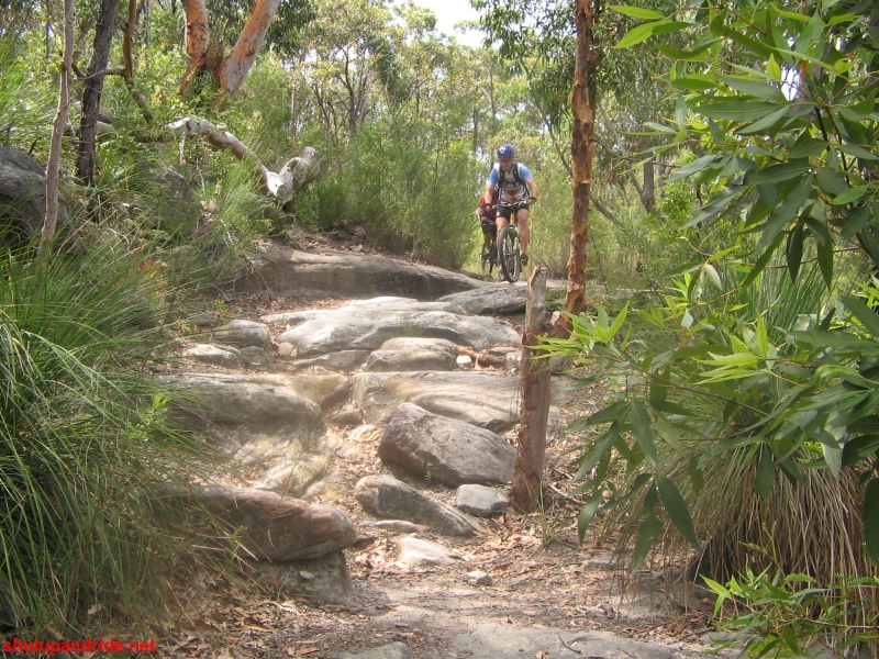 20061210-Lindfield 042 